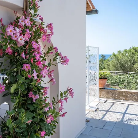 Apartment Canata *
